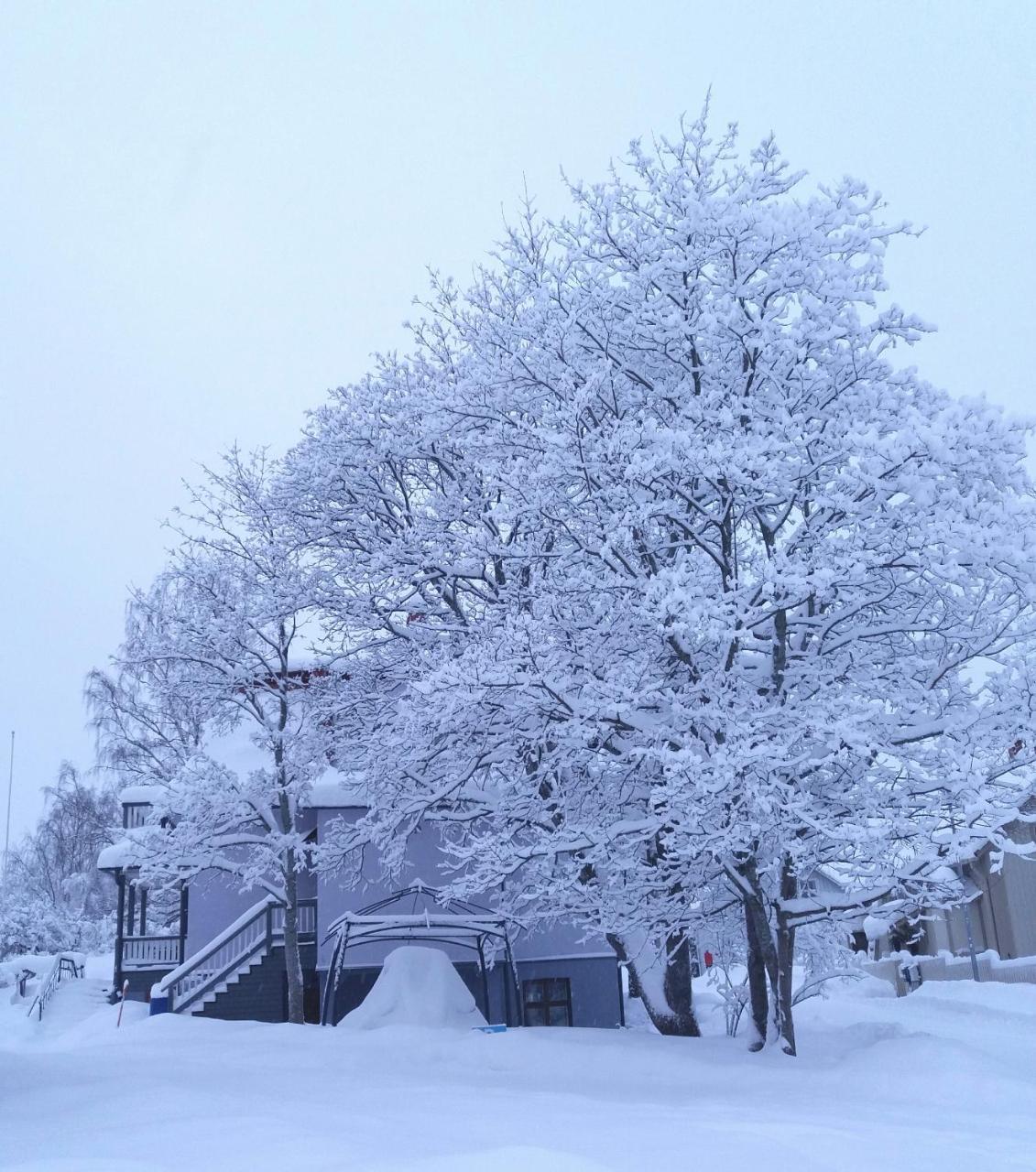 Boutique Hotel Tavis, Check In Olavinkatu 8 Savonlinna Zewnętrze zdjęcie
